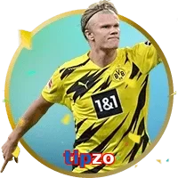tipzo