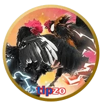 tipzo