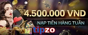 tipzo