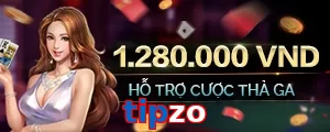 tipzo