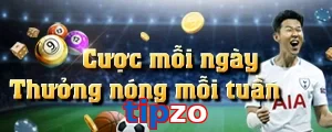 tipzo
